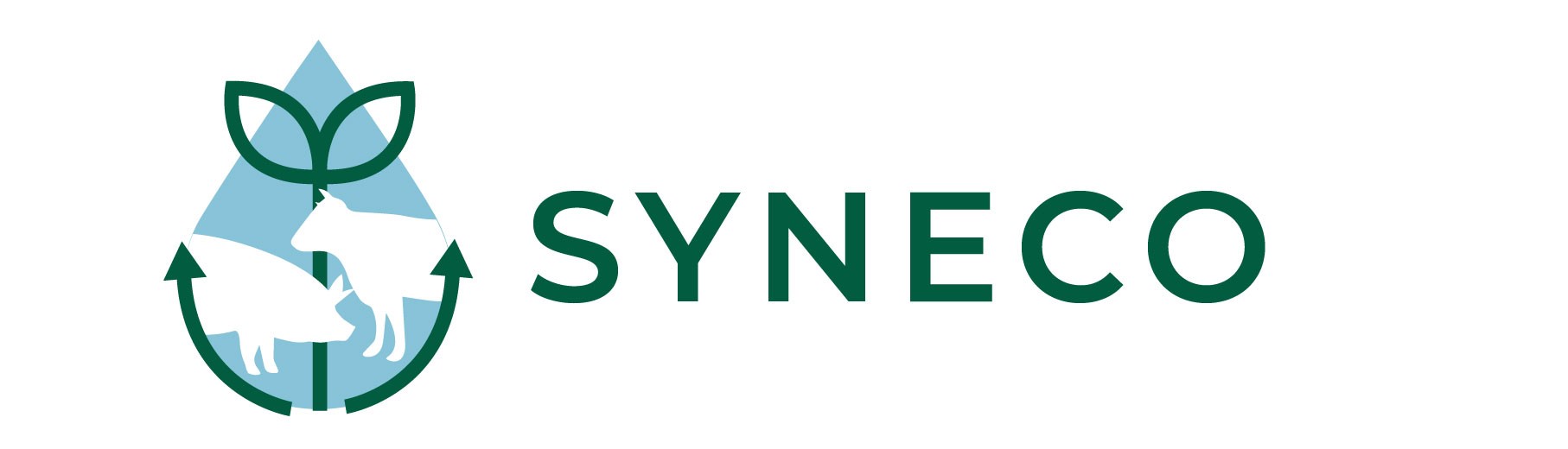 SYNECO ORIZ